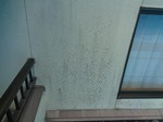 施工前10.jpg