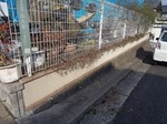 施工前19.jpg