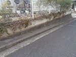 施工前20.jpg